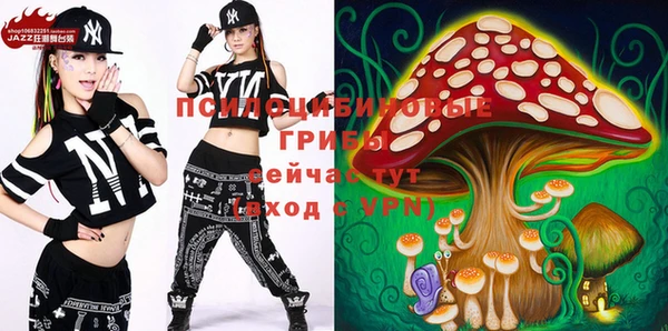a pvp Сосновка