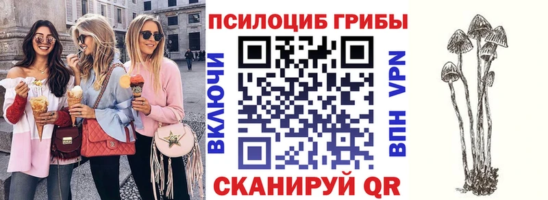 Галлюциногенные грибы Magic Shrooms  OMG   Бирск 